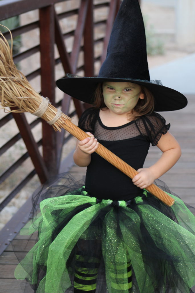 Wizard of Oz | Family Halloween Costume