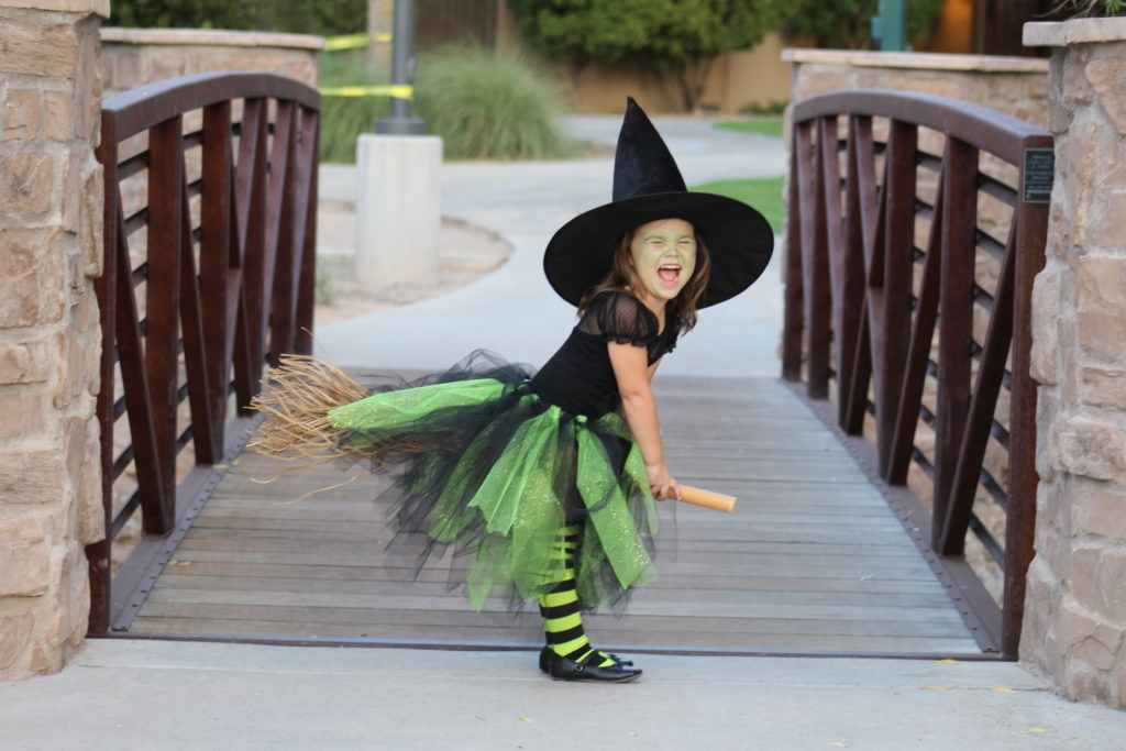 Wizard of Oz | Family Halloween Costume