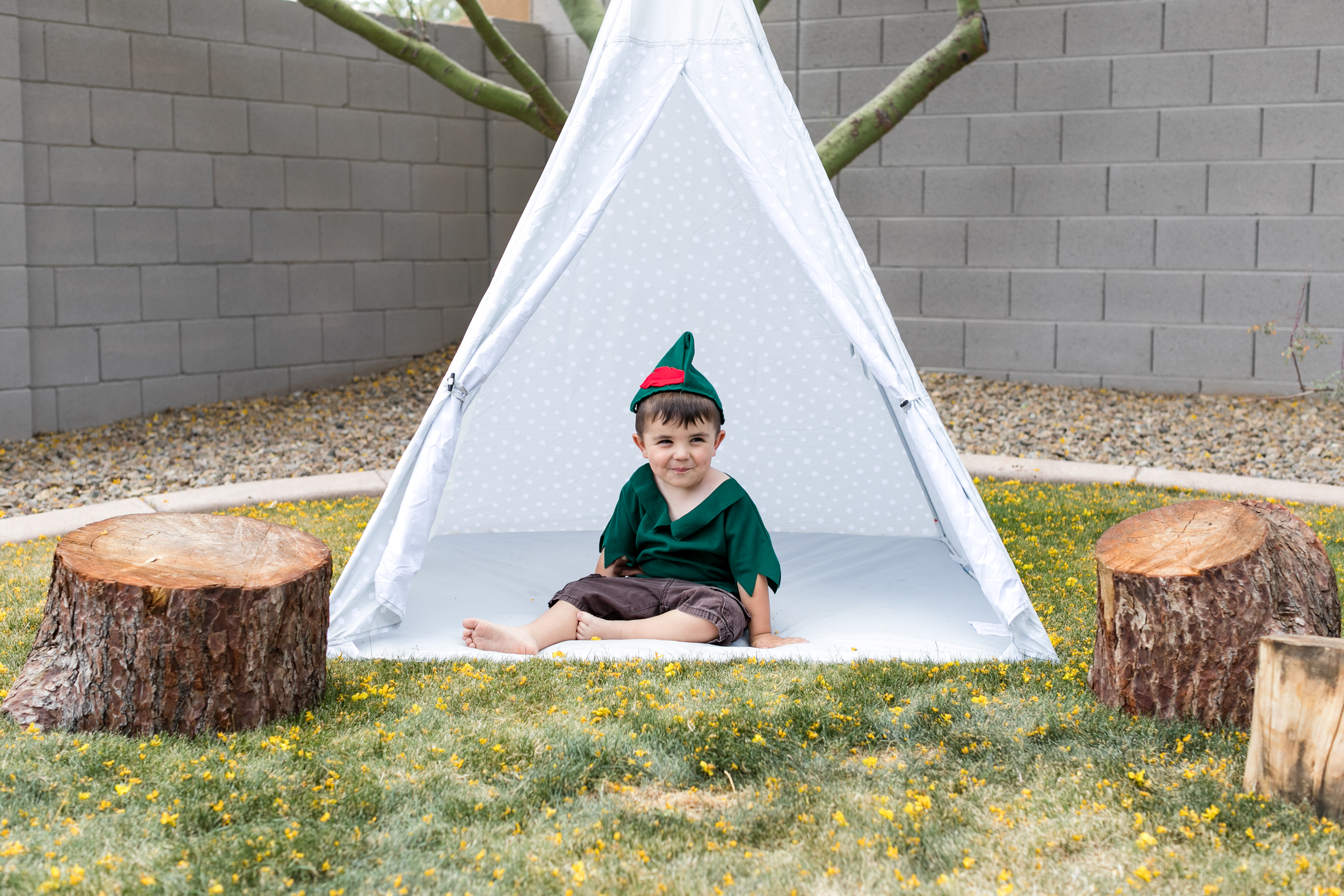 Peter Pan Party | Never Grow Up Party Theme | Three Year Old Boy Birthday Party